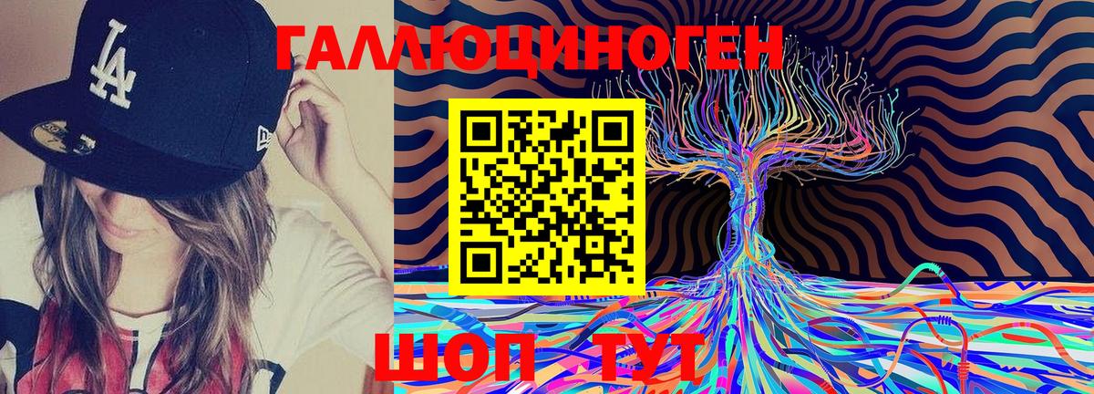 Псилоцибиновые грибы GOLDEN TEACHER Новороссийск